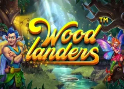 Wood Landers Slot